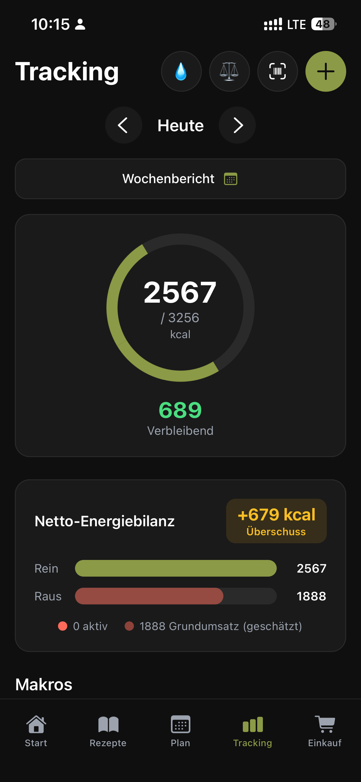 Tracking-Screen mit Kalorienring und Netto-Energiebilanz aus Kalorien rein und raus